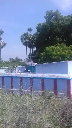 Arulmigu Iyyanar Vagaiyara Temple, Village Outside, Panthapuzhi - 627753