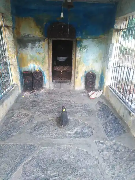 Arulmigu Iyyannar Sadaiyappar Temple, N.Naraiyur - 606304