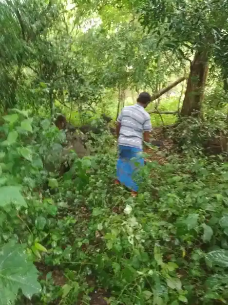 Arulmigu Iyyannar Temple, Ko-Aathanoor - 606003 அருள்மிகு அய்யனார் திருக்கோயில், Ko-Aathanoor - 606003, Cuddalore - Ancient Temple Architecture and History Image 2