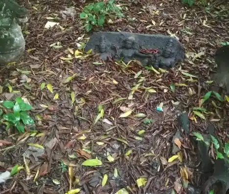 Arulmigu Iyyannar Temple, Ko-Aathanoor - 606003 அருள்மிகு அய்யனார் திருக்கோயில், Ko-Aathanoor - 606003, Cuddalore - Ancient Temple Architecture and History Image 3