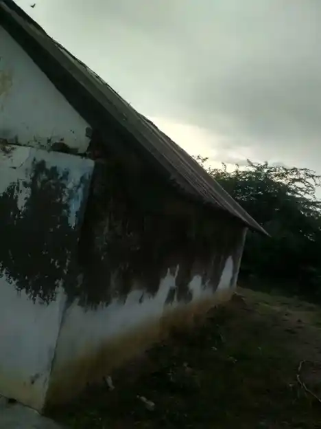 Arulmigu Iyyannar Temple, Mummudichozhan - 606103 அருள்மிகு அய்யனார் திருக்கோயில், Mummudichozhan - 606103, Cuddalore - Ancient Temple Architecture and History Image 2