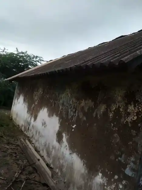 Arulmigu Iyyannar Temple, Mummudichozhan - 606103 அருள்மிகு அய்யனார் திருக்கோயில், Mummudichozhan - 606103, Cuddalore - Ancient Temple Architecture and History Image 3