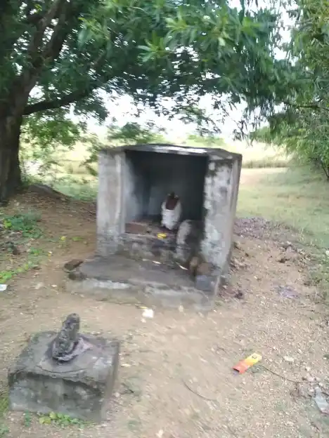 Arulmigu Iyyannar Temple, T.Pudayur - 606302 அருள்மிகு. அய்யனார், பிடாரி திருக்கோயில், T.Pudayur - 606302, Cuddalore - Ancient Temple Architecture and History Image 2