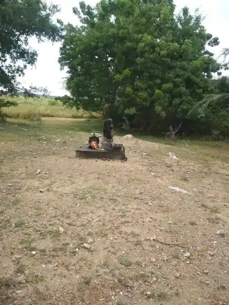 Arulmigu Iyyannar Temple, T.Pudayur - 606302 அருள்மிகு. அய்யனார், பிடாரி திருக்கோயில், T.Pudayur - 606302, Cuddalore - Ancient Temple Architecture and History Image 4