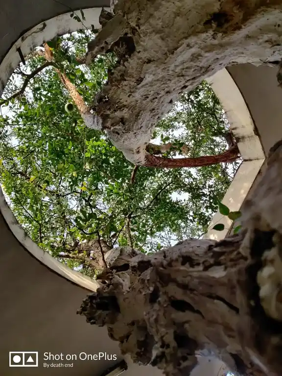 Arulmigu Jaganathaperumal Temple, Papanaickenpalayam, Coimbatore - 641037 அருள்மிகு ஸ்ரீ ஜெகந்நாதப்பெருமாள் திருக்கோயில், Papanaickenpalayam, கோவை - 641037, Coimbatore - Ancient Temple Architecture and History Image 3