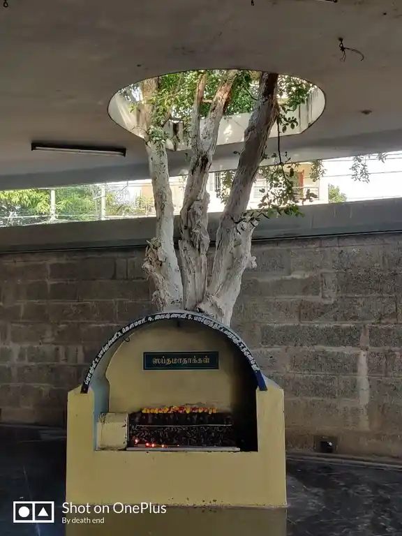 Arulmigu Jaganathaperumal Temple, Papanaickenpalayam, Coimbatore - 641037 அருள்மிகு ஸ்ரீ ஜெகந்நாதப்பெருமாள் திருக்கோயில், Papanaickenpalayam, கோவை - 641037, Coimbatore - Ancient Temple Architecture and History Image 4