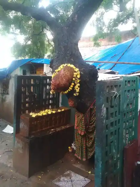 Arulmigu Jagath Periya Palayathamman Temple, Chetpet, Chennai - 600031 அருள்மிகு ஜகத் பெரியபாளையத்தம்மன் திருக்கோயில், சேத்துப்பட்டு, சென்னை - 600031, Chennai - Ancient Temple Architecture and History Image 5