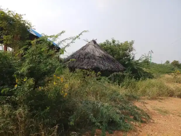 Arulmigu Jakkaalamman Muthalamman Temple, Chinnaluppai - 624703 Temple
