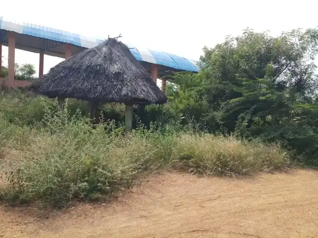 Arulmigu Jakkaalamman Muthalamman Temple, Chinnaluppai - 624703 அருள்மிகு ஜக்காலம்மன் முத்தாலம்மன் திருக்கோயில், சின்னலுப்பை - 624703, Dindigul - Ancient Temple Architecture and History Image 3