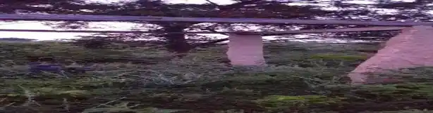 Arulmigu Jakkaalamman Temple, Karungal - 624620