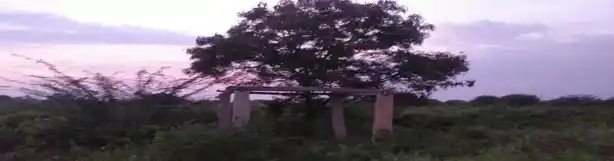 Arulmigu Jakkaalamman Temple, Karungal - 624620 அருள்மிகு ஜக்காலம்மன் கோயில், Karungal - 624620, Dindigul - Ancient Temple Architecture and History Image 3