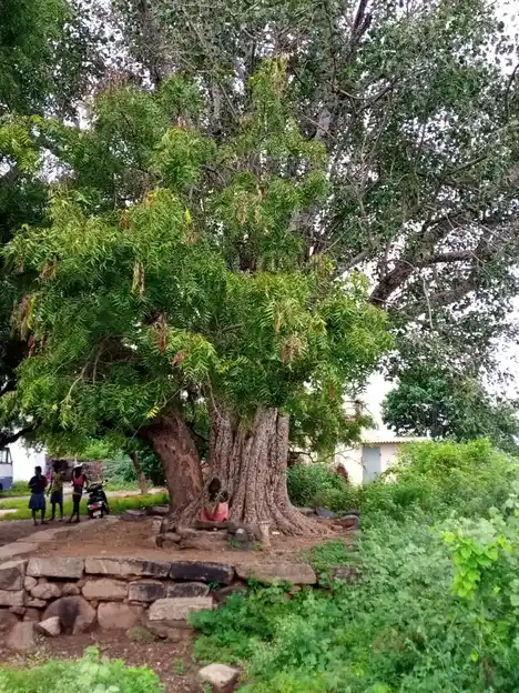 Arulmigu Jakkaalamman Temple, Vellalapatti - 621303