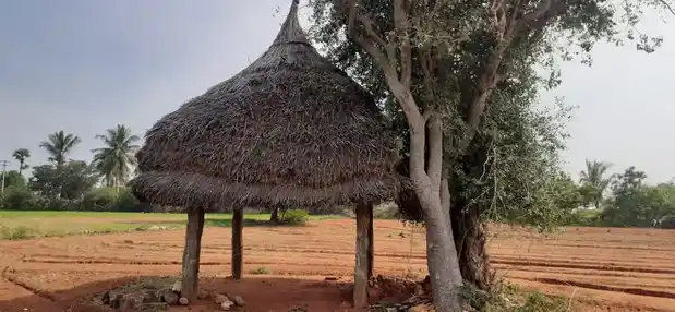 Arulmigu Jakkaalammant Temple, Venjamangkudalur - 639109 அருள்மிகு ஜக்காளம்மன் திருக்கோயில், Venjamangkudalur - 639109, Karur - Ancient Temple Architecture and History Image 4