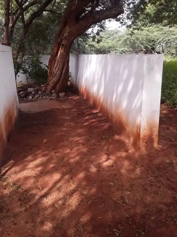 Arulmigu Jakkalamman Temple, Ayyalur - 624801 Temple