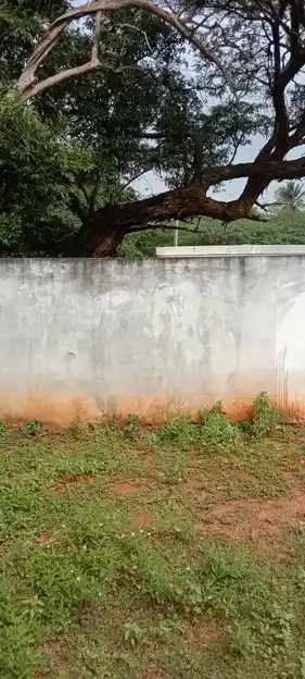 Arulmigu Jakkalamman Temple, Ayyalur - 624801 Arulmigu Jakkalamman Temple, Ayyalur - 624801, Dindigul - Ancient Temple Architecture and History Image 6