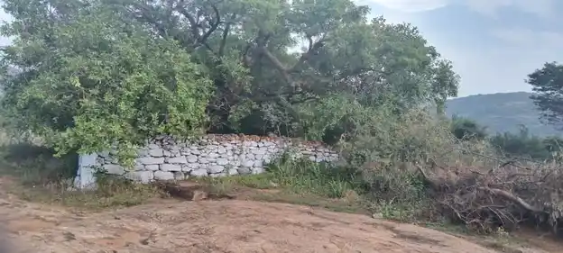 Arulmigu Jakkalamman Temple, Kariyampatti - 624616 Arulmigu Jakkalamman Temple, Kariyampatti - 624616, Dindigul - Ancient Temple Architecture and History Image 2