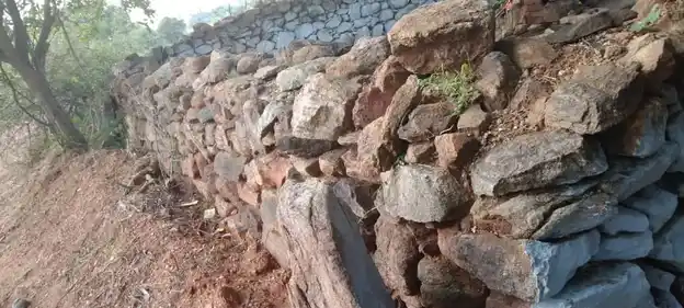 Arulmigu Jakkalamman Temple, Kariyampatti - 624616 Arulmigu Jakkalamman Temple, Kariyampatti - 624616, Dindigul - Ancient Temple Architecture and History Image 4