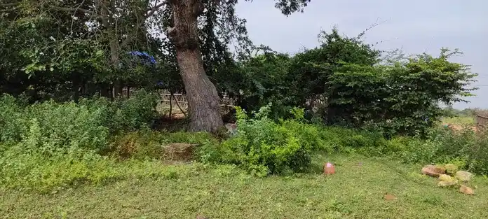 Arulmigu Jakkalamman Temple, Naganoor - 621313