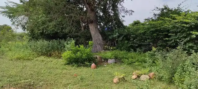 Arulmigu Jakkalamman Temple, Naganoor - 621313 அருள்மிகு ஜக்காளம்மன் திருக்கோயில், Naganoor - 621313, Karur - Ancient Temple Architecture and History Image 3