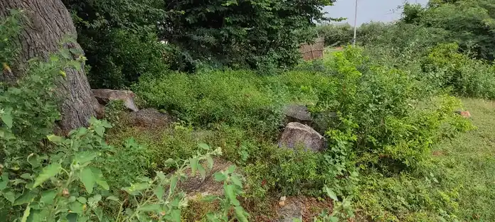 Arulmigu Jakkalamman Temple, Naganoor - 621313 அருள்மிகு ஜக்காளம்மன் திருக்கோயில், Naganoor - 621313, Karur - Ancient Temple Architecture and History Image 4