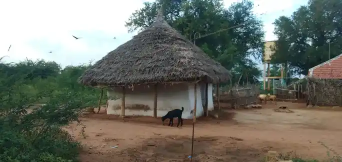 Arulmigu Jakkalamman Temple, Pothuravuthanpatti - 639119 அருள்மிகு ஜக்காளம்மன் திருக்கோயில், Pothuravuthanpatti - 639119, Karur - Ancient Temple Architecture and History Image 2