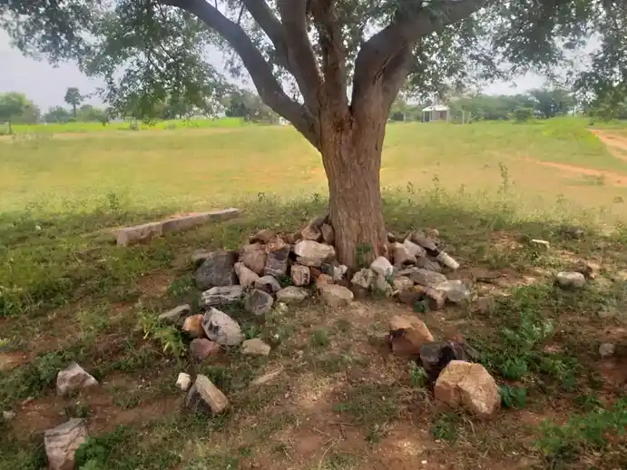 Arulmigu Jakkalamman Temple, Sarakkampatty - 639001 அருள்மிகு ஜக்காளம்மன் திருக்கோயில், Sarakkampatty - 639001, Karur - Ancient Temple Architecture and History Image 4