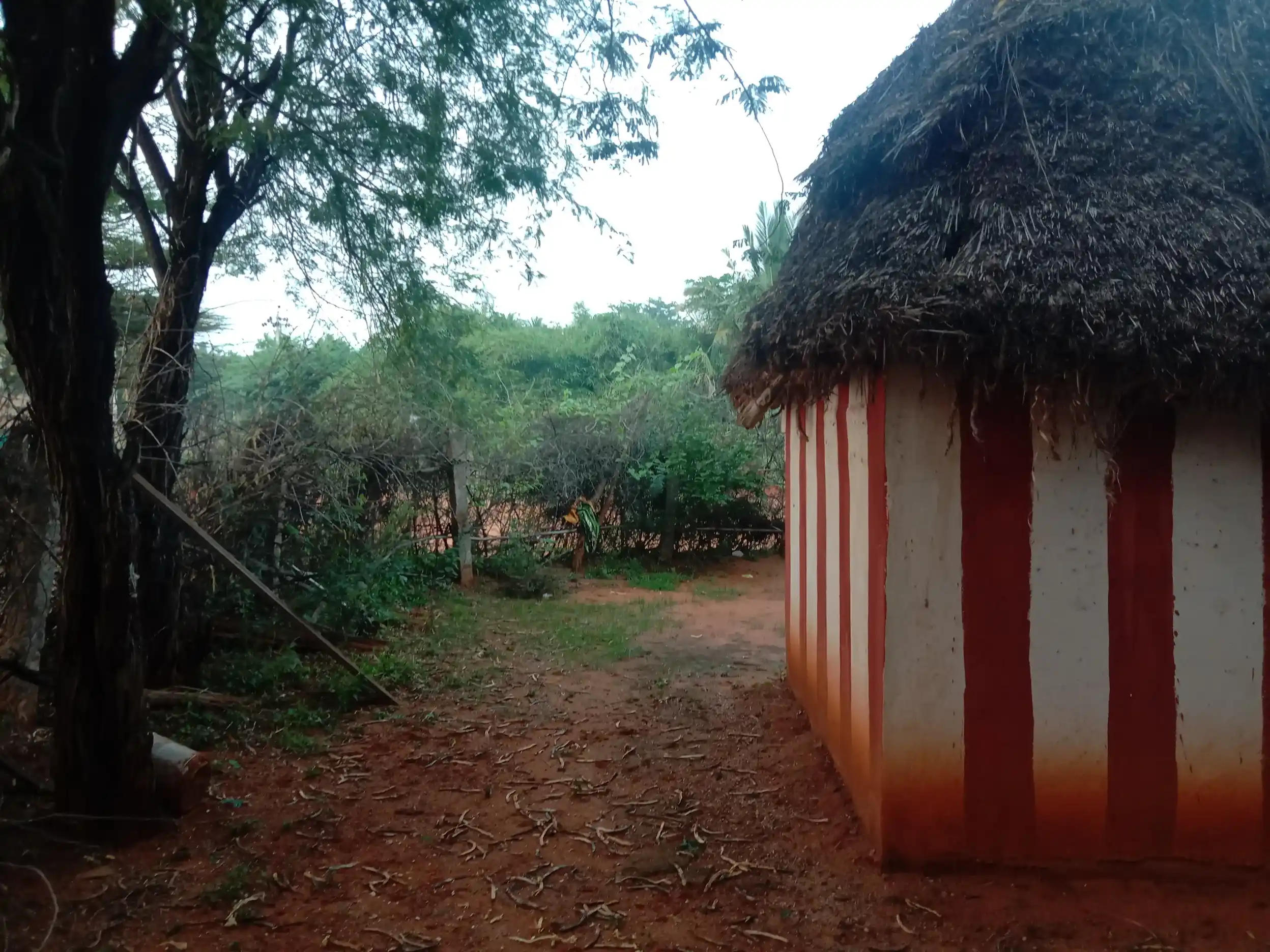 Arulmigu Jakkama Temple, Koduvilarpatti - 625534 அருள்மிகு ஜக்கம்மாள் திருக்கோயில், கொடுவிலார்பட்டி - 625534, Theni - Ancient Temple Architecture and History Image 4