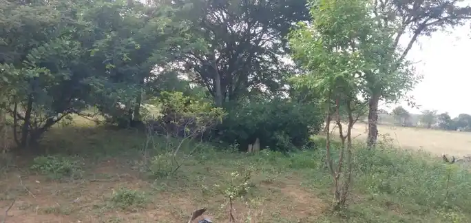 Arulmigu Jakkammal Temple, Valvarmangalam - 639001