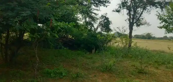 Arulmigu Jakkammal Temple, Valvarmangalam - 639001 அருள்மிகு ஜக்கம்மாள் திருக்கோயில், Valvarmangalam - 639001, Karur - Ancient Temple Architecture and History Image 4