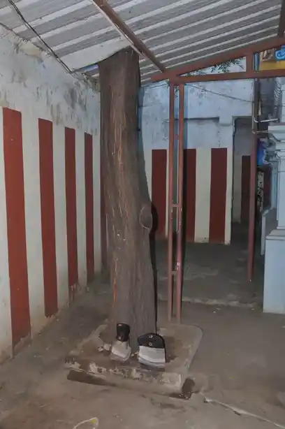 Arulmigu Jalajanthira Mariamman Temple, Kumbakonam - 612001 அ/மி.ஜலசந்தி மாரியம்மன் திருக்கோயில், Kumbakonam - 612001, Thanjavur - Ancient Temple Architecture and History Image 3