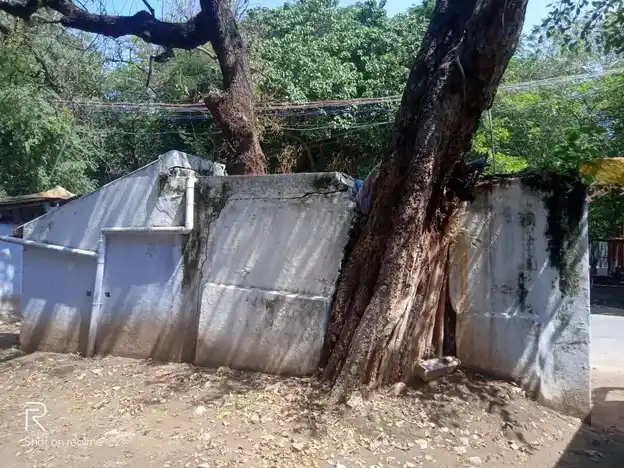 Arulmigu Jalliverramman Temple, Kottur Malayandipattanam, Pollachi - 642001 அருள்மிகு ஜல்லிவீரம்மன் திருக்கோயில், கோட்டூர் மலையாண்டிபட்டணம், Pollachi - 642001, Coimbatore - Ancient Temple Architecture and History Image 3