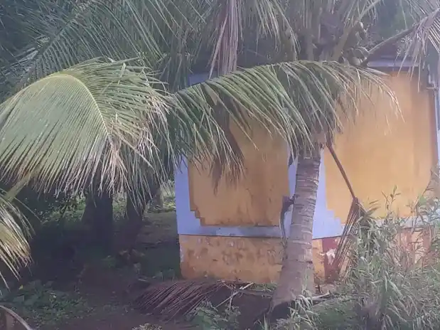 Arulmigu Jamadhagneeswarar Temple, Klaunkadu - 627852 அருள்மிகு ஜமதக்னீஸ்வரர் திருக்கோயில், Klaunkadu - 627852, Tenkasi - Ancient Temple Architecture and History Image 7