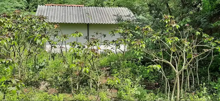 Arulmigu Jambukeswarar Temple, Ellai Naagaladi - 614716