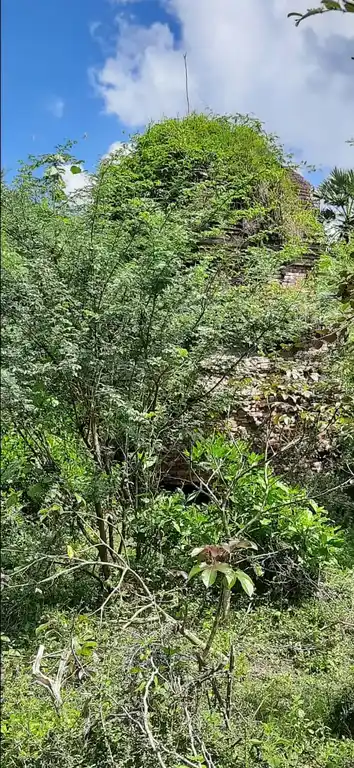 Arulmigu Jambukeswarar Temple, Ellai Naagaladi - 614716 அருள்மிகு ஜம்கேஸ்வரர் திருக்கோயில், Ellai Naagaladi - 614716, Thiruvarur - Ancient Temple Architecture and History Image 3