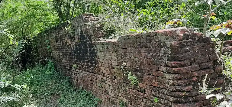 Arulmigu Jambukeswarar Temple, Ellai Naagaladi - 614716 அருள்மிகு ஜம்கேஸ்வரர் திருக்கோயில், Ellai Naagaladi - 614716, Thiruvarur - Ancient Temple Architecture and History Image 4