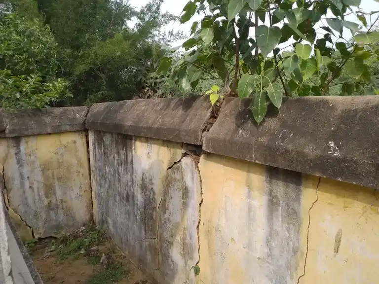 Arulmigu Jampukaranesar Temple, Pathiniyapuram - 610105 அருள்மிகு ஜம்புகாரனேஸ்வரர் திருக்கோயில், Pathiniyapuram - 610105, Thiruvarur - Ancient Temple Architecture and History Image 7