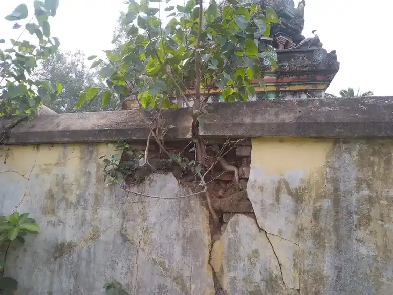 Arulmigu Jampukaranesar Temple, Pathiniyapuram - 610105 அருள்மிகு ஜம்புகாரனேஸ்வரர் திருக்கோயில், Pathiniyapuram - 610105, Thiruvarur - Ancient Temple Architecture and History Image 8
