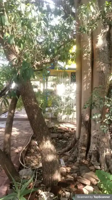 Arulmigu Jeyasithi Vinayagar Temple, Palayam Kottai, Palayam Kottai - 627002 அருள்மிகு ஜெய சித்தி விநாயகர் திருக்கோயில், Palayam Kottai, Palayam Kottai - 627002, Tirunelveli - Ancient Temple Architecture and History Image 4