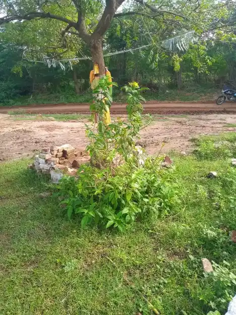 Arulmigu Jeyavinayagar Temple, Ayyampulli - 624610 அருள்மிகு ஜெயவிநாயகர் திருக்கோயில், அய்யம்புள்ளி - 624610, Dindigul - Ancient Temple Architecture and History Image 3