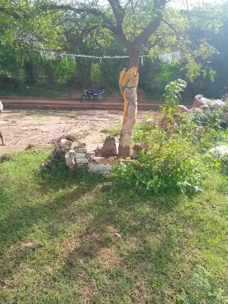 Arulmigu Jeyavinayagar Temple, Ayyampulli - 624610 அருள்மிகு ஜெயவிநாயகர் திருக்கோயில், அய்யம்புள்ளி - 624610, Dindigul - Ancient Temple Architecture and History Image 5