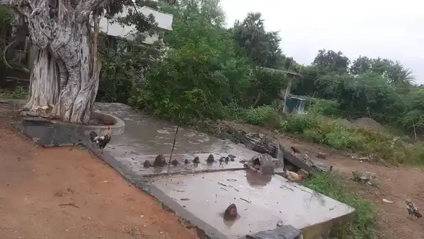 Arulmigu Jothimoopanar Temple, Ranjankudi - 621115