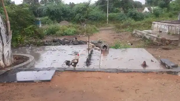 Arulmigu Jothimoopanar Temple, Ranjankudi - 621115 அருள்மிகு ஜோதிமூப்பனார் திருக்கோயில், Ranjankudi - 621115, Perambalur - Ancient Temple Architecture and History Image 2