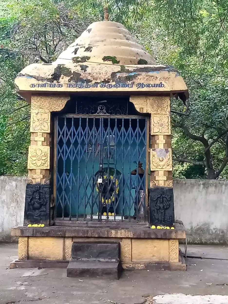 Arulmigu Jothivinayagar Temple, Thiruvannamalai, Tiruvannamalai - 606603 அருள்மிகு ஜோதி விநாயகர், ஸ்ரீ கிருஷ்ணர், மகாசக்தி மாரியம்மன் திருக்கோயில், திருவண்ணாமலை, திருவண்ணாமலை - 606603, Tiruvannamalai - Ancient Temple Architecture and History Image 5