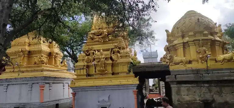 Arulmigu Kaaliyamman Kamandeshwarar Temple, Muppathuvetti - 632503 அருள்மிகு காளியம்மன் கமண்டலேஸ்வரர் திருக்கோயில், முப்பதுவெட்டி - 632503, Ranipet - Ancient Temple Architecture and History Image 3