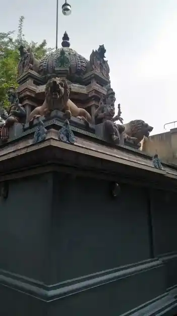 Arulmigu Kaaliyamman, Selvavinayagar Temple, Pannangudi - 609101 அருள்மிகு காளியம்மன், செல்வவினாயகர் திருக்கோயில், Sirkali - 609101, Mayiladuthurai - Ancient Temple Architecture and History Image 3
