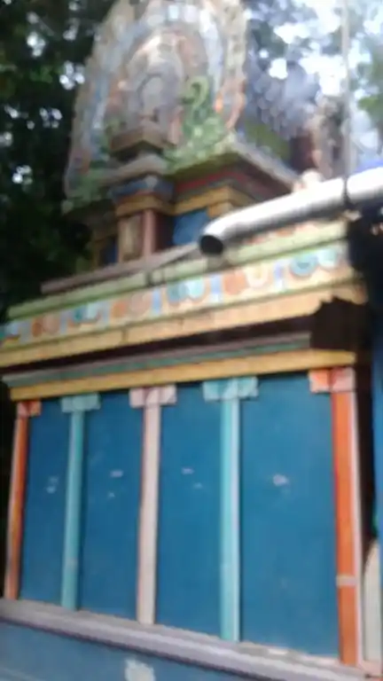 Arulmigu Kaaliyamman Temple, Anaikuppam - 610105 அருள்மிகு காளியம்மன் திருக்கோயில், Anaikuppam - 610105, Thiruvarur - Ancient Temple Architecture and History Image 3