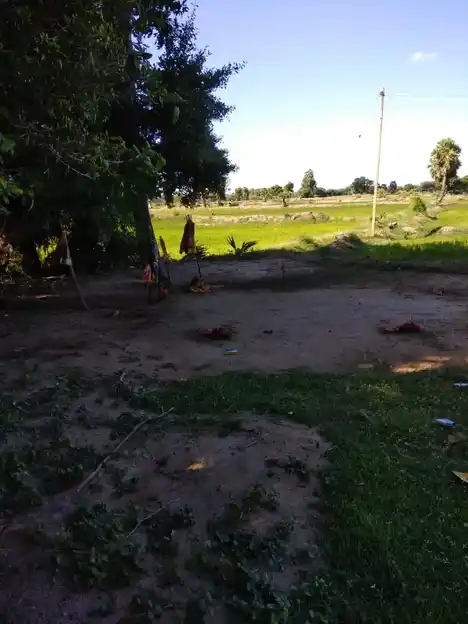 Arulmigu Kaaliyamman Temple, Elankodi - 614616 அருள்மிகு காளியம்மன் திருக்கோயில், Elankodi - 614616, Pudukkottai - Ancient Temple Architecture and History Image 3