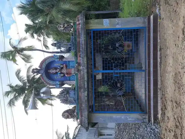 Arulmigu Kaaliyamman Temple, Kunnam - 609108 Temple