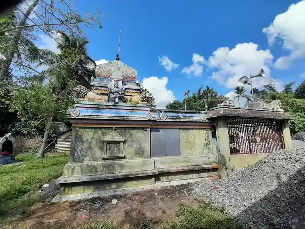 Arulmigu Kaaliyamman Temple, Kunnam - 609108 அருள்மிகு காளியம்மன் திருக்கோயில், Sirkazhi - 609108, Mayiladuthurai - Ancient Temple Architecture and History Image 4