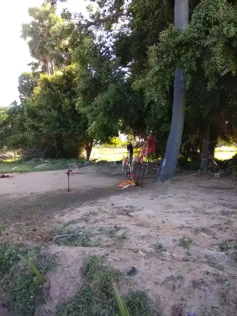 Arulmigu Kaaliyamman Temple, Pilluvalasai - 614621 Temple